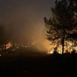 İzmir Buca'da orman yangını &ccedil;ıktı!