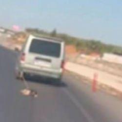 K&ouml;peği araca bağlayıp s&uuml;r&uuml;kledi