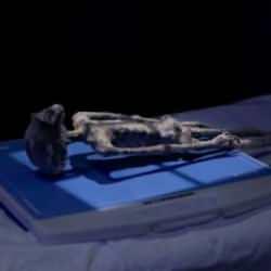 Sergilenen uzaylı fosilleri ger&ccedil;ek mi? Ufolog Maussan, şarlatanlıkla su&ccedil;landı!