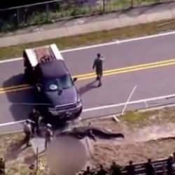 Timsah ağzında insan cesediyle sokaklarda dolaştı