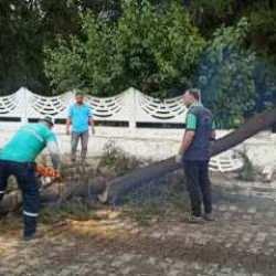 Aydın'da kuvvetli r&uuml;zgar ve sağanak: Ağa&ccedil;lar devrildi, yollarda su birikintileri oluştu