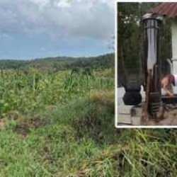 Domuz n&ouml;betinde yanlışlıkla arkadaşını &ouml;ld&uuml;rd&uuml;