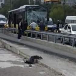 2 İETT otob&uuml;s&uuml; &ccedil;arpıştı! E-5'te kaza