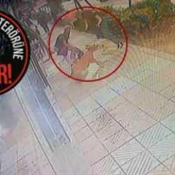 Manisa&rsquo;da başıboş pitbull dehşeti: Anne, kızı ve sahipli k&ouml;peklerine saldırdı!