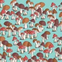 Resimdeki mantarlar arasına gizlenmiş fareyi 6 saniyede fark edebilirseniz dünyanın en keskin gözlerine sahip olursunuz!