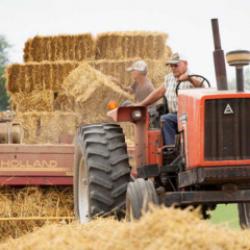 Mazot ve gübre desteği ödemeleri başladı mı?