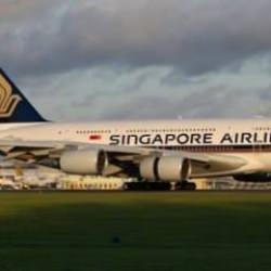 Singapur'dan Türkiye'ye: Uçuşlar yüzde 100 doluluk oranında!