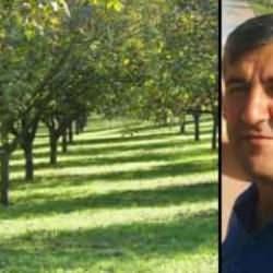 Ceviz bah&ccedil;esinde yanlışlıkla oğlunu &ouml;ld&uuml;rd&uuml;
