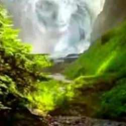 İyi bir dinleyici misiniz? Bu optik yanılsama testi kişiliğiniz hakkındaki gerçeği ortaya çıkaracak!