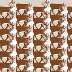 Kartal gözlerinizi test etme zamanı: Geyiklerden hangisinin farklı olduğunu 11 saniye içinde bulabilir misin?