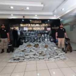 Polisin takiple durdurduğu minib&uuml;sten 303 kilo skunk &ccedil;ıktı