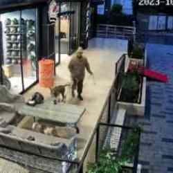 Avcılar'da pitbullu bı&ccedil;aklı saldırgana g&ouml;zaltı