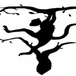 İlk gördüğünüz şey nasıl bir zihin gücüne sahip olduğunuzu ortaya çıkaracak