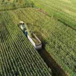 Tarım ÜFE eylülde aylık yüzde 4,47 arttı