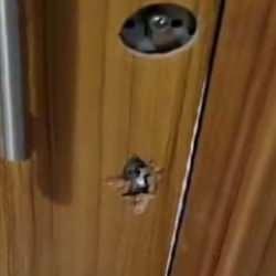 Esenyurt'ta istedikleri dairenin kilidini kırıp kiraya verdiler: &Ccedil;etede polisler de var!