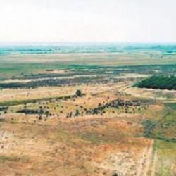 Hazine arazileriyle kentsel dönüşüme katkı sağlanacak