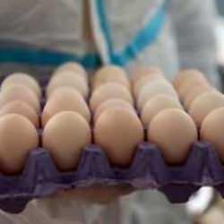Yumurta üreticilerinden sözlü savunma