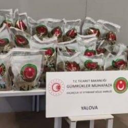 Bakan Bolat açıkladı: 10 milyon lira değerinde 80 kilo esrar ele geçirildi!