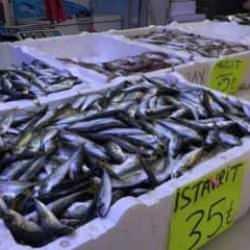 Balıkçıların tek umudu denizlerin soğuması!