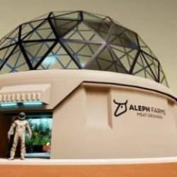 Bilim kurgu değil gerçek: Mars'ta üretecekler!