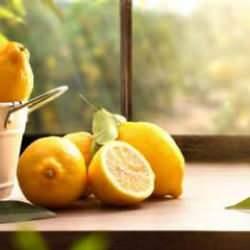 Limon nasıl saklanır? Limon suyu saklamanın püf noktaları…