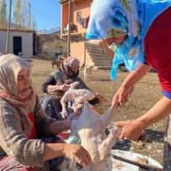 Mesai başladı! Kars kazlarının tanesi 1200 TL