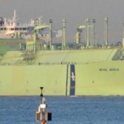 Cezayir'den çıkan LNG gemisi Türkiye'ye geliyor