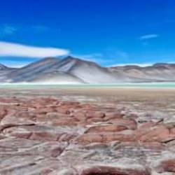 Dünyanın en büyük çölüne kurulacak! İşte dev proje hakkında bilinenler...