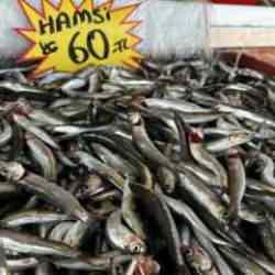 Fırtınanın ardından balık tezgahlarında son durum