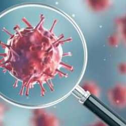 Endişelendiren vir&uuml;s: İlk kez bir insanda g&ouml;r&uuml;ld&uuml;