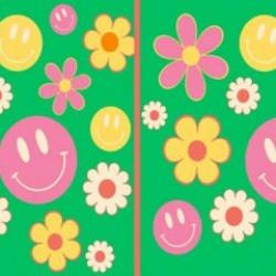 Gözlerinize meydan okumaya hazırlanın: İki resim arasındaki 5 farkı 12 saniye içerisinde tespit edebilir misiniz?