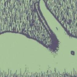 Kişilik testi: İlk gördüğünüz hayvan ütopik bir hayalperest mi yoksa gerçekçi biri mi olduğunuzu ortaya çıkaracak!