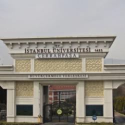 İstanbul Üniversitesi en az lise mezunu sözleşmeli personel alacak! KPSS şartı var mı?