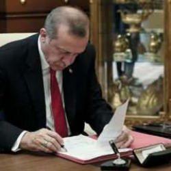 Türk Yatırım Fonu kuruldu! 5 devlet tarafından karşılanacak 