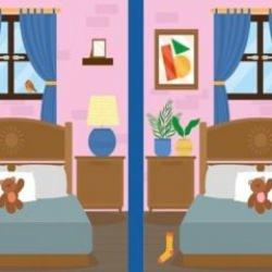 İki resim arasındaki 6 farkı 9 saniyede bulabilir misiniz? Kartal kadar keskin gözlerinizi test edin!