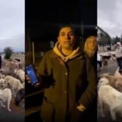 K&uuml;&ccedil;&uuml;k Tunahan hastanede can &ccedil;ekişirken &ldquo;Burada 1500 k&ouml;pek vardı&rdquo; deyip yaygara kopardılar!