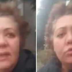 Sokak k&ouml;peklerini besleyen kadın, sokak k&ouml;peklerinin par&ccedil;aladığı &ccedil;ocuğun ailesini su&ccedil;ladı