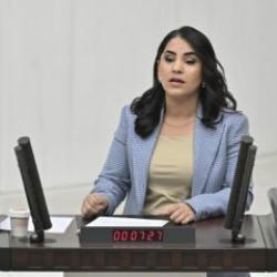 DEM Partili vekilden Meclis'te küstah sözler! "Öcalan'a özgürlük" istedi