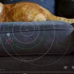 Dünya'ya 31 milyon kilometre uzaklıktan kedi videosu gönderildi!