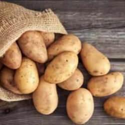 Efsane çöktü! Patatesler buzdolabında saklanabilir mi?