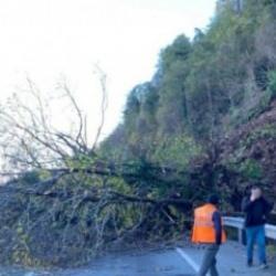 Karadeniz Sahil Yolu'nda heyelan