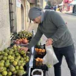 Sinop'ta kış armudunun kilosu 50 liradan satılıyor