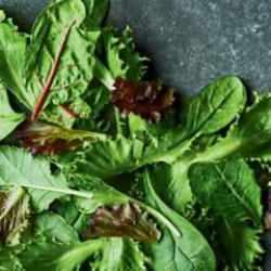 Solmuş sebzeler nasıl canlandırılır? Pörsümüş yeşillikleri tekrar canlandırın 