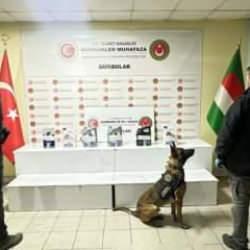 Ticaret Bakanlığı: 33 piton, yolcu treninde ele ge&ccedil;irildi