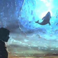 Uzay formları için çığır açacak: Bilim insanları bir balinayla konuşmayı başardı!