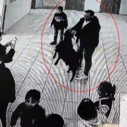 Yağmurdan ka&ccedil;arken &ouml;ğrencileri takip etti! K&uuml;&ccedil;&uuml;k ke&ccedil;i okula sığındı