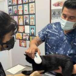  1 milyon 429 bin 370 ev hayvanı kayıt altına alındı