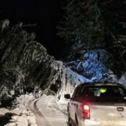 Karab&uuml;k'te fırtına! Direkler devrildi, 18 k&ouml;ye elektrik verilemiyor