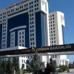 Tarım ve Orman Bakanlığı memur alacak! Kontenjan dağılımı ve başvuru şartları açıklandı