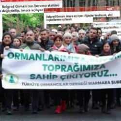 Duyarlı değil kumandalı çevrecilik:Katliamlarına sustukları İBB için orman eylemi yaptılar